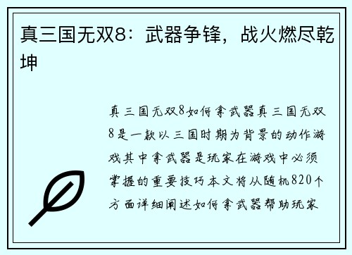 真三国无双8：武器争锋，战火燃尽乾坤